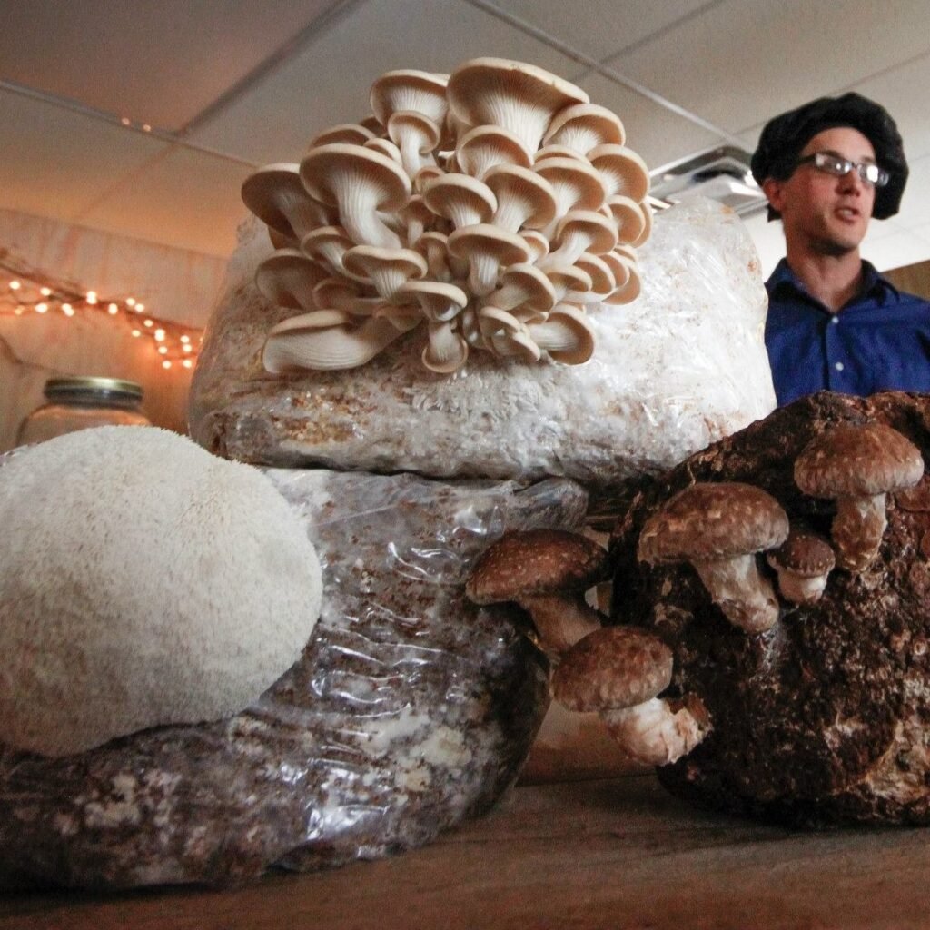 WhatsApp Image 2026 04 02 At 09.12.49 1 1024x1024