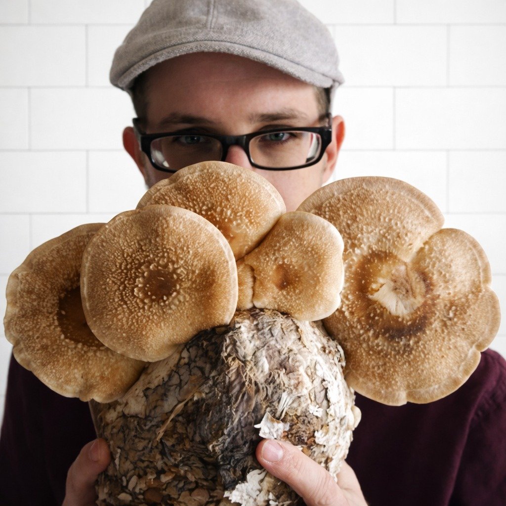 WhatsApp Image 2026 04 02 At 09.12.49